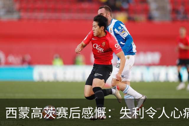 西蒙高茨赛后感慨：失利令人心痛，梁靖崑的实力毋庸置疑